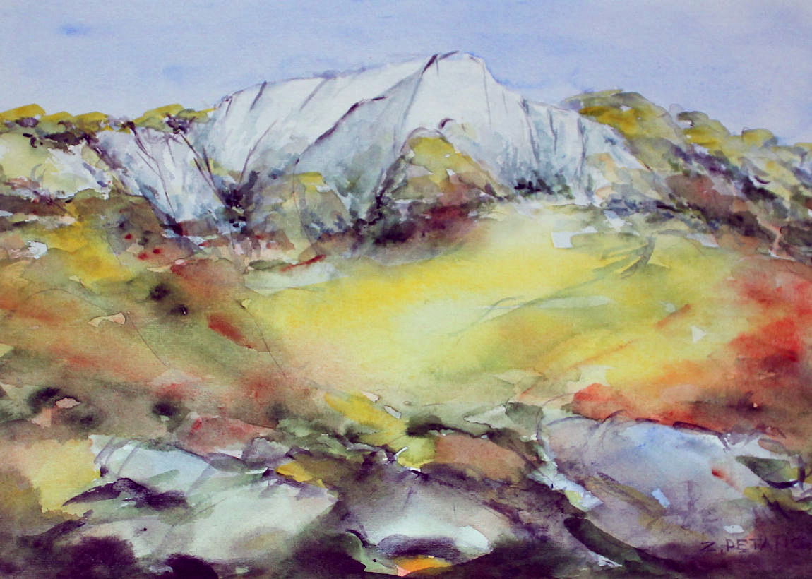 Zvonko Petanović Slavonski Brod